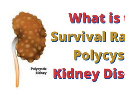 Is The Ayurvedic Treatment Effective for Polycystic Kidney Disease?